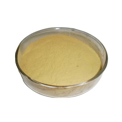 Xanthan Gum CAS 11138-66-2 Konjac Extract Xanthangum